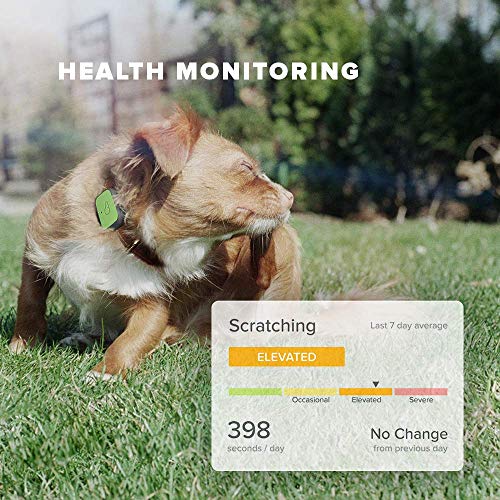 Whistle FIT Pet Health and Fitness Tracker Nutrition, and Activity