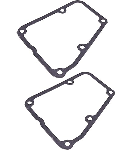 Amazon.com: GENUINE OEM KAWASAKI PARTS - GASKET 11009-2024
