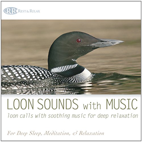 Bliss - Loon Sounds With Music: Loon Calls With Soothing Music For Deep Relaxation (Nature Sounds, Deep Sleep, Meditative Sounds Of Loons) - Zortam Music