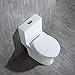 Woodbridge Moder Design, Elongated One piece Toilet Dual flush 1.0/1.6 GPF,with Soft Closing Seat, white, T-0032