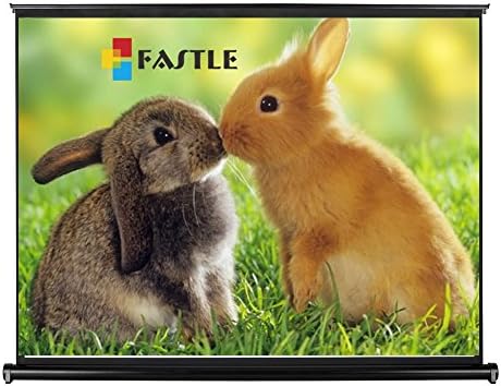 Fastle Tabletop Micro Portable Presenter Projector Screen Manual Projection Floor Table Stand (V50" 1056860mm)