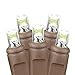 Novelty Lights Warm White LED Christmas String Lights - UL Listed Indoor/Outdoor Light Set w/ 100 Mini Bulbs for Christmas Tree, Patio, Wedding Decor, and More - (Brown Wire, 34' Long)