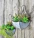 GIFTME 5 Set of 2 Galvanized Metal Umbrella Hanging Wall Planter Flower Holder Indoor or Outdoor Garden Succulent Wall Planter Setthumb 1