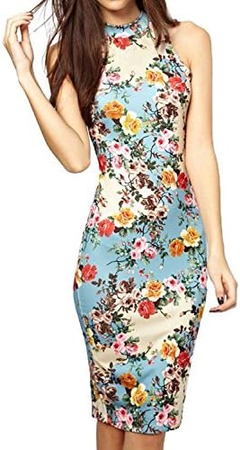 Arctic Flower Summer Floral Printed Sleeveless Slim Fit Midi Sheath Tank Sun Dress (Blue, 6)