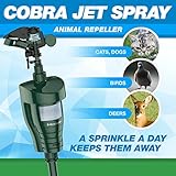 Hoont8482; Cobra Powerful Outdoor Water Jet Blaster Animal Pest Repeller – Motion Activated - Blasts Cats, Dogs, Squirrels, Birds, Deer, Etc. Out of Your Property ()