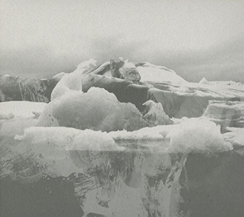 If These Trees Could Talk - The Bones of a Dying World - Zortam Music