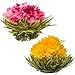 Blooming Tea Flowers - Pomegranate & Pineapple Flowering Teas – Hand-Tied Flowering Tea Balls - Each Tea Blossom Can Be Used Multiple Times (2-Pack)