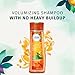 Herbal Essences Body Envy Volumizing Shampoo with Citrus Essences, 33.8 fl oz(Packaging May Vary)