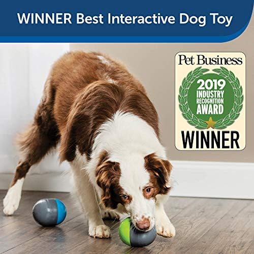 best interactive toy pets 2019
