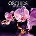 2018 Orchids Calendar - 12 x 12 Wall Calendar - with 210 Calendar Stickers