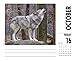 Spirit of the Wolf 2020 Box Calendar