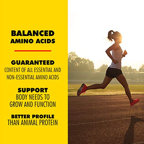 Plant Based Vegan Protein Powder by SFPro (Original) Premium Sunflower Protein, Single Source