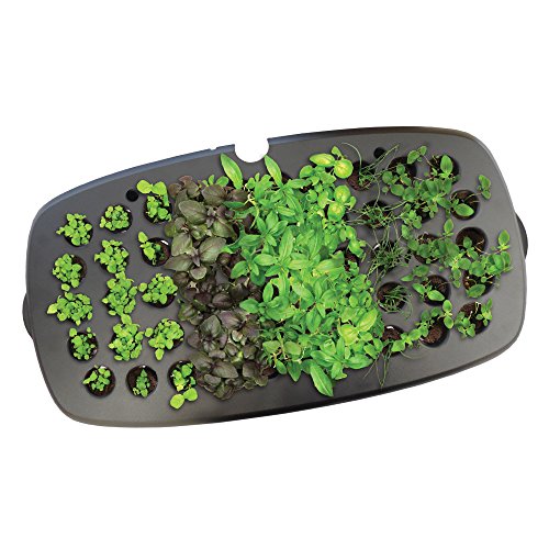 Miracle-gro aerogarden seed starting system for bounty,…