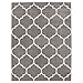 Machine Washable Moroccan Trellis Design Jute Back 5x7 Modern Indoor Area Rug for Living Room, Bedroom, Dining Room, Office, 5'3