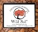 Wild Soil Beyond Almonds – 20% Higher Protein Than Other Almonds, Distinct and Superior to Organic, Raw