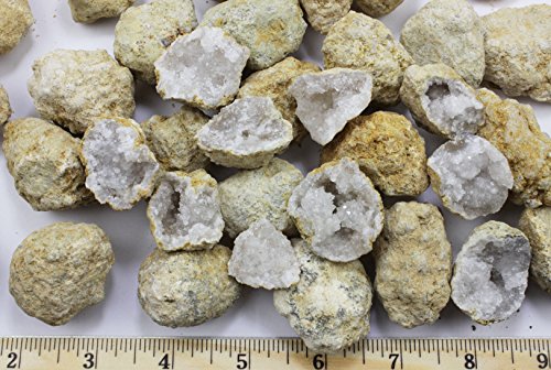 25 Break Your Own Geodes, 90% Hollow-Small ( 1-1.5') Crack Open & Discover Amazing Surprise Crystals Inside! Educational Info and Instructions Included, Fun Party Favors & Prizes, Dancing Bear Brand