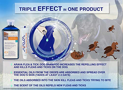 Arava Natural Flea & Tick Prevention for Dogs & Cats - 4-Doses - 100% Safe Flea & Tick Control - Repels Pests with Natural Oils - Safe on Skin and Coats - Enhanced Defense & Prevention (4 Variations)