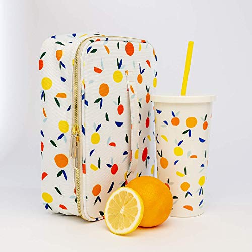 Kate Spade New York Insulated Tumbler with Reusable Straw, 20 Ounce