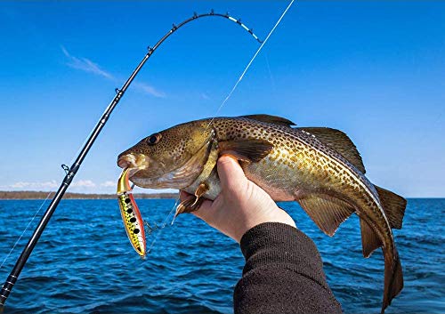 Fdswuzf 5pcs Flottant Leurre De Pêche Ensemble, 10cm Crochet De Pêche Flottant Queue Tournante Pêche Appât Appât…
