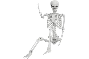 AOKID 5.4FT/165cm Skeleton Life Size Full Body, 5FT Posable Halloween Skeleton Decor, Life Body Anatomy Model, Lifelike Skeleton Model, Halloween Hanging Props, Party Supplies (170CM)