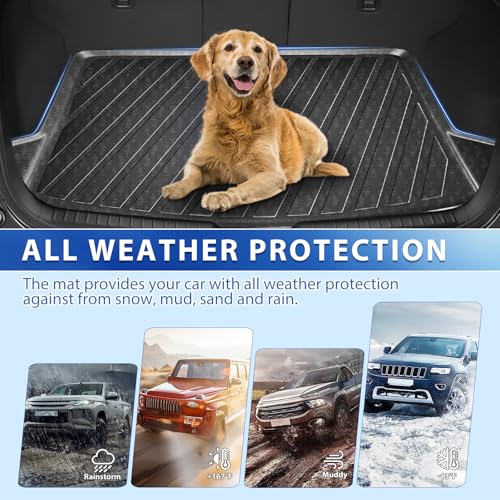 FIILINES for Mazda CX-5 Floor Mats 2017-2025, All Weather TPE Floor Liners and Trunk Mat for Mazda CX5 Accessories Black