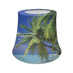 Cozeyat Palm Tree Beach Table Lamp Shades Mandala Desk Lamp Shade Handcrafted,Spider Lamp Shade Barrel Fabric Lampshade… 513ojrn0d0L. SS280
