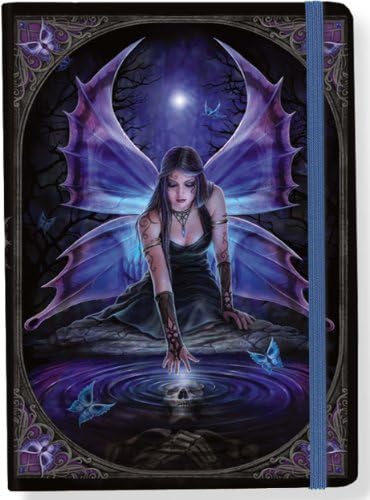 Immortal Flight Journal (Diary, Notebook) Diary – June 10, 2011