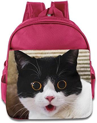 Lightweight Looking Forward To The Cat Backpack Boys And Girls Kindergartens Preschool Backpack