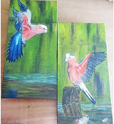 VgoCart Two Piece Bird Set Canvas Painting