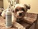 Mindful Pets Dog Tear Stain Remover – Most Effective White Fur Eye Treatment – Best Solution for Removing Saliva, Mucus and Stains Build Up in Maltese, Chihuahua, Shih Tzu and Alike, 8oz