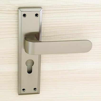 Avenue (AV-516) Mortise Door Handle Set with Lock Body and Cylinder