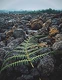 Notebook: Climate Change global warming biosphere greenhouse gas weather climatology by Wild Pages Press
