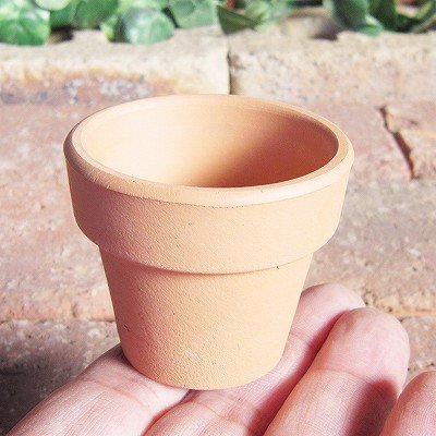 すべての美しい花の画像 最高素焼き 鉢 激安