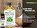 Biofinest Aloe Vera Organic Oil - 100% Pure, Natural, Cold-Pressed - Premium Quality - Best Moisturizer For Hair, Face & Skin - Boost Wound Recovery - FREE E-Book (10ml)