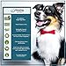 Lamb Ears- Premium - All Natural Rawhide Alternative- Excellent Dog Chew (10 Pack)
