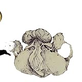 APE OF NAPLES                                      image