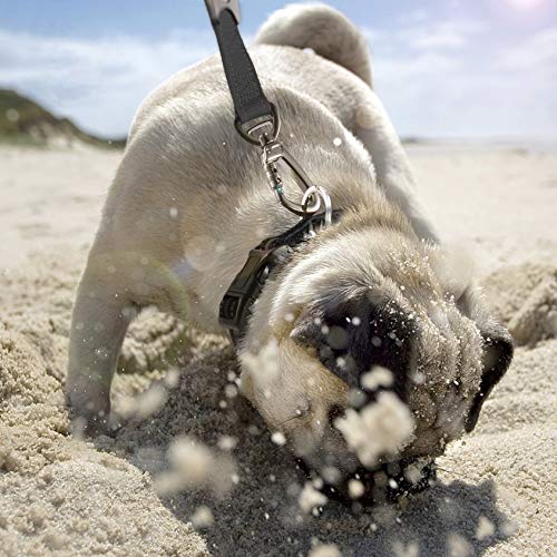 Florenceenid Multifunctional Nylon Elastic Stretch Pet Dog Lead Leash Rope Retractable Pet Dog Puppy Running Rope for Pet Vest Pet Supplies - Thumbnail 5