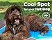 The Green Pet Shop Cooling Pet Mat / Pad - Patented Pressure-Activated Cool Gel Technology - Help Your Dog Stay Cool - Prevent Overheating and Dehydration - Ideal for Home and Travel - Medium/Large