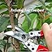 BIGLUFU 8″ Flower Clippers Scissors Limb Trimmer Pruning Shears Blade Trimmers Garden Professional Gardening Shear Cutters, SK-5 Steel Anvil Scissor, High Carbon Steel Hand, Plant Secateurs, Backyardthumb 3