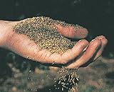 CANADA GREEN GRASS SEED BAG