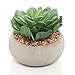 MyGift Life-Like Green Artificial Succulent Plant in Round Modern Gray Ceramic Decorative Planter Pot