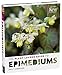 The Plant Lover's Guide to Epimediums (The Plant Lover's Guides) by Sally Gregson