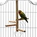 Bonaweite Bird Stand For Cage Parrot Perch Climbing Tree Toy Birdcage Decor Wood Laddered Platform Play Gym Stand Playstand Exercise Training Toys For Small Medium Conures Cockatiels Parrotlets Finchthumb 4