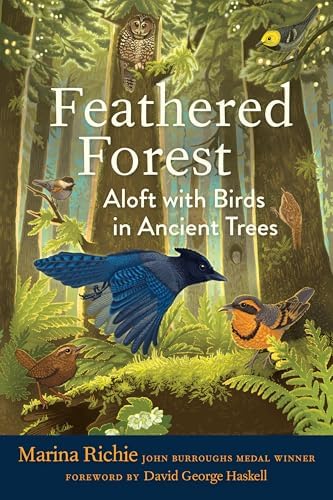 Be a Tree in a Magical Forest: Stratton, Tara: 9781968012632