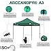 ABCCANOPY Patio Pop Up Canopy Tent 10x10 Commercial-Series (Forest Green)