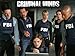 Criminal Minds, Season 5