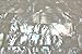 White Mother-of-Pearl (MOP) Shell Adhesive Veneer Sheet