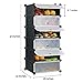 NEX Shoe Rack Cube Organizer DIY Plastic Storage Organizer Modular Cabinet Black Closet with White Doors (NX-F0002)