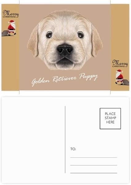 Lot De Cartes Postales De Remerciement Pour Chien Golden Retriever Amazon Fr Fournitures De Bureau
