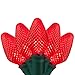 Wintergreen Lighting 25 C7 Red LED Christmas Lights, 17 Ft – Indoor Outdoor Red C7 String Lights for Christmas, Valentine’s Day, and Party Decor